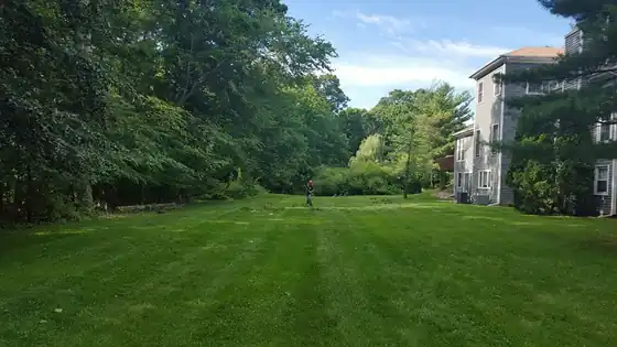 A finished lawn cleared of debris after a job