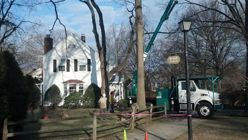 Crane truck and green Live Oak trucks staged at a white colonial house