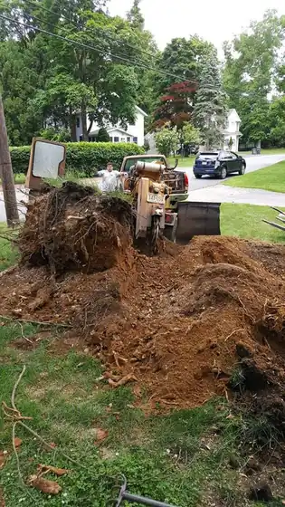 Stump grinder working a stump in a front yard
