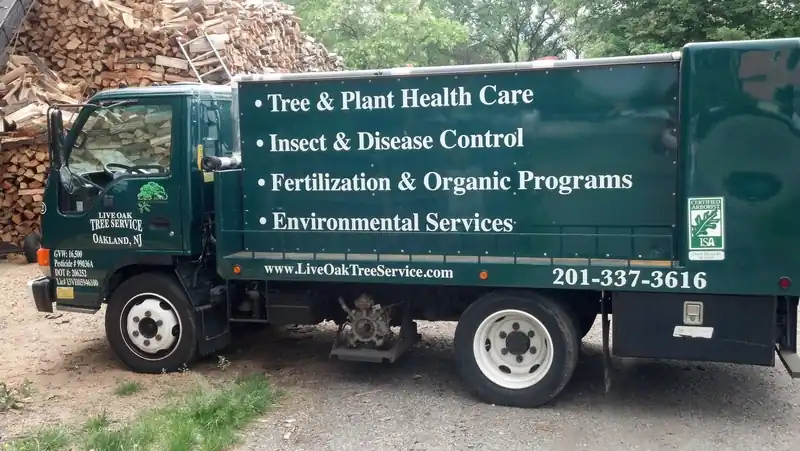 Side of the green Live Oak Tree Service box truck showing its services, licence numbers, ISA Certified Arborist badge and phone number